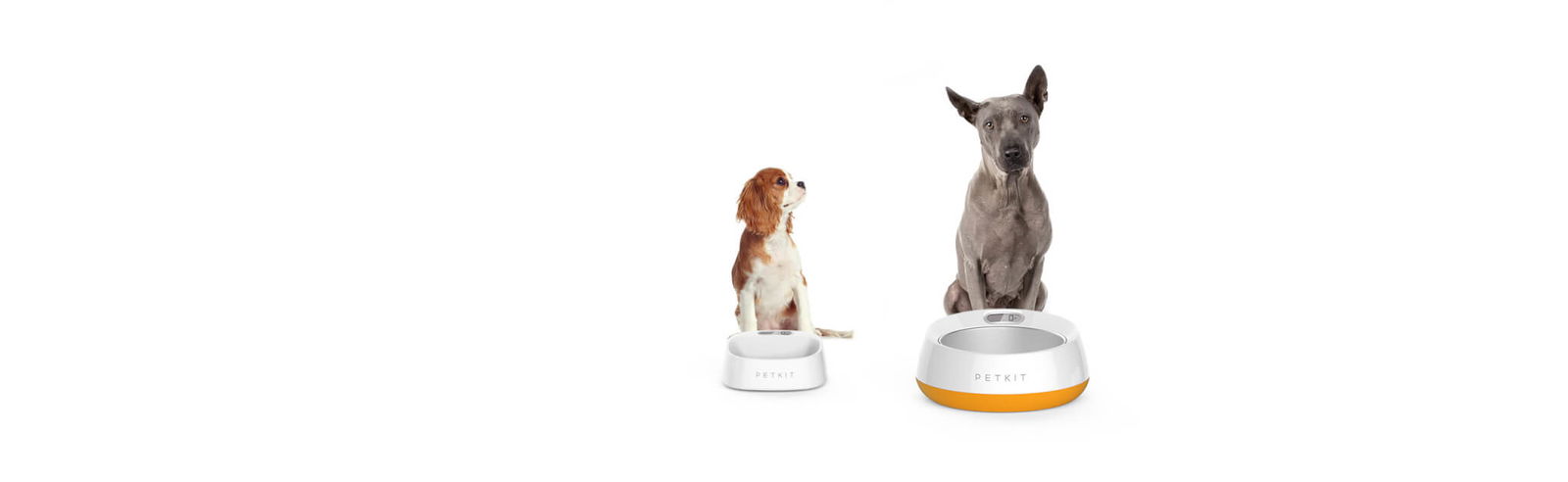 petkit-fresh-metal-bowl-groot-en-klein