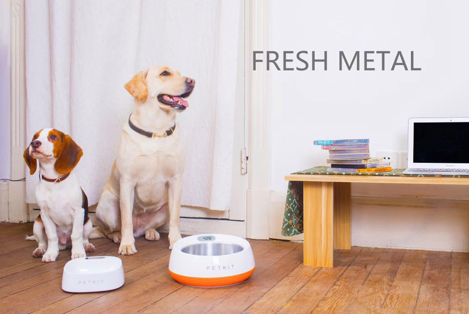 freshmetal-bowl-van-dogline-1600x1000