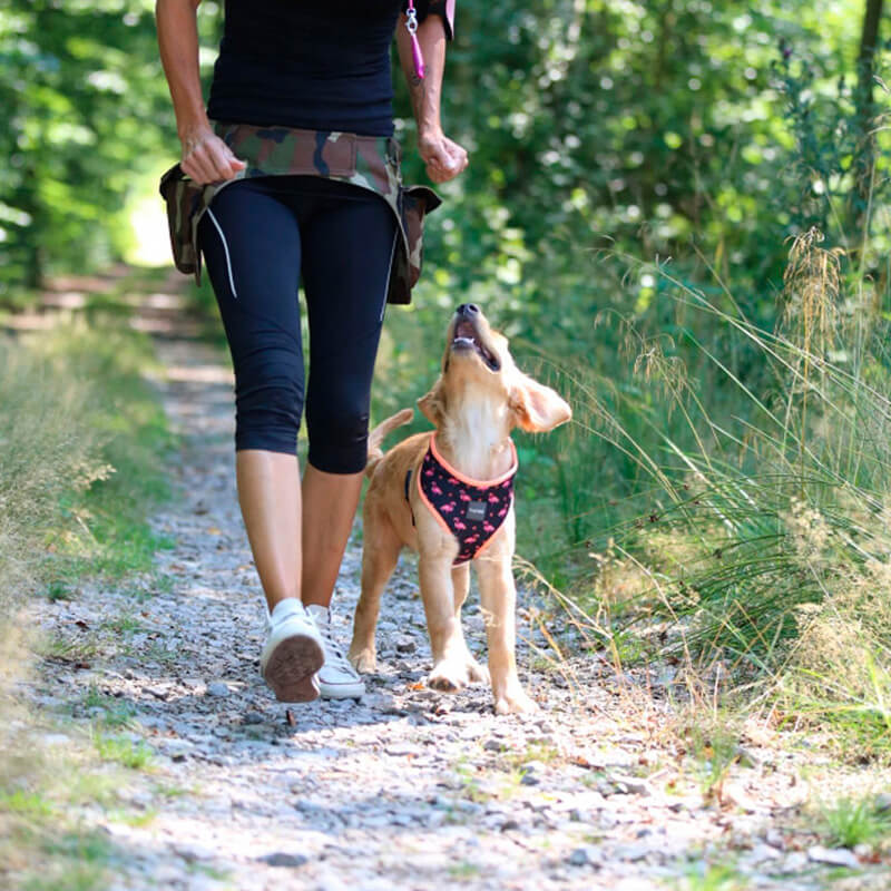 Dogline Hondentraining Addpocket Extreme Camouflage Aijkant Alleen