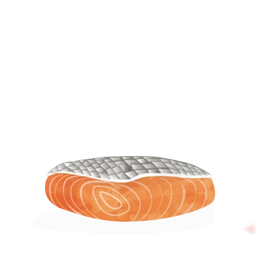 dogline edgard en Cooper ingredient zalm