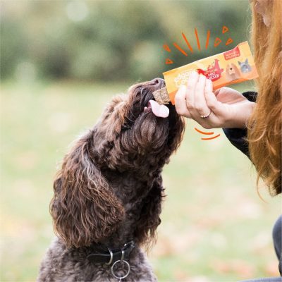 hond smult van proteinereep van edgard en cooper